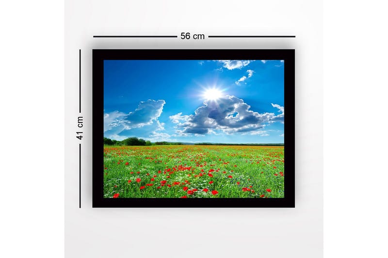 Kehystetty puutaulu canvasille - 41x56 cm - Kukkiva niitty punaisilla unikoilla ja valkoisilla kukilla kirkkaan sinisen taivaan alla - Vihreä / Punainen / Valkoinen - Sisustustuotteet - Taulu & taide