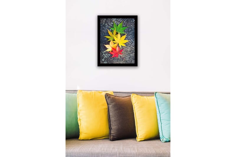 Koristeellinen Kehystetty MDF-maalaus - Monivärinen - Sisustustuotteet - Taulu & taide