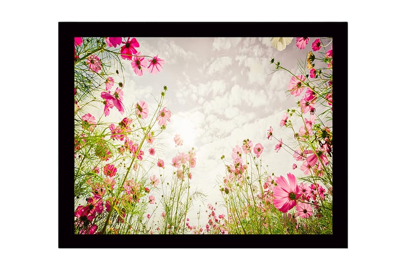 Koristeellinen Kehystetty MDF-maalaus, Monivärinen