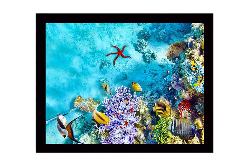 Koristeellinen Kehystetty MDF-maalaus, Monivärinen