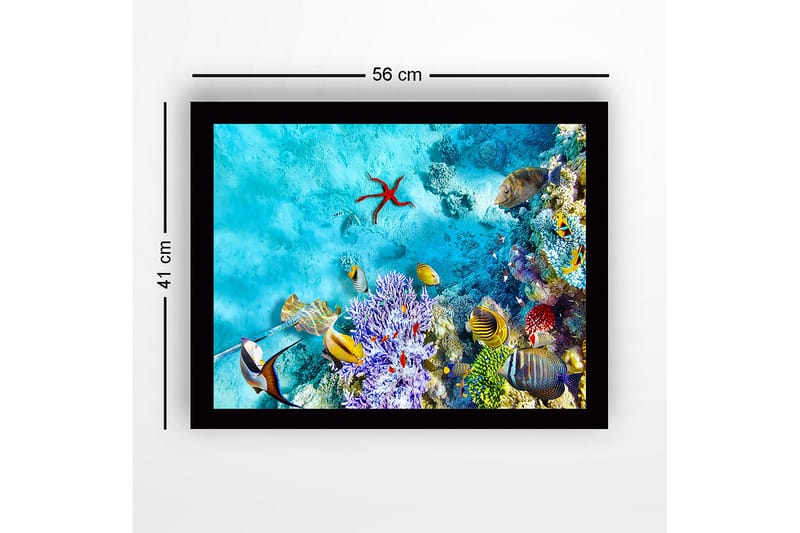 Koristeellinen Kehystetty MDF-maalaus - Monivärinen - Sisustustuotteet - Taulu & taide