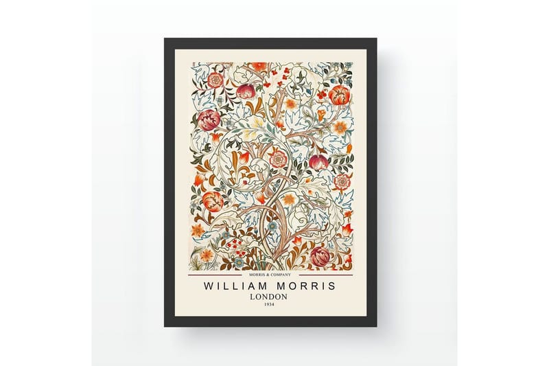 Koristeellinen kehystetty maalaus Campora Ticoman moniväri (35 x 45 cm), Monivärinen