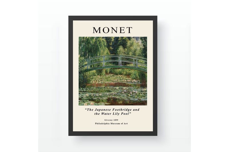 Koristeellinen kehystetty maalaus Dorougrad Ticoman Moniväri (35 x 45 cm), Monivärinen