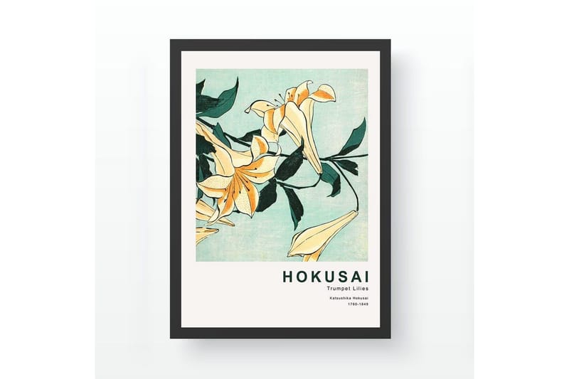 Koristeellinen kehystetty maalaus Sia Ticoman Monivärinen (35 x 45 cm), Monivärinen