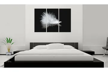 Taulu A Small Feather 60x40 - Artgeist sp. z o. o. - Sisustustuotteet - Taulu & taide - Canvas-taulu