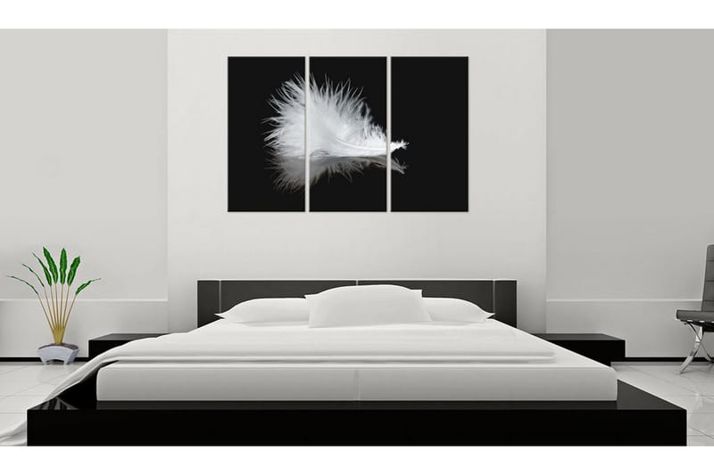 Taulu A Small Feather 60x40 - Artgeist sp. z o. o. - Sisustustuotteet - Taulu & taide - Canvas-taulu