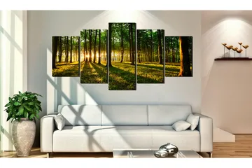 Taulu Adventure In The Woods 100x50 - Artgeist sp. z o. o. - Sisustustuotteet - Taulu & taide - Canvas-taulu