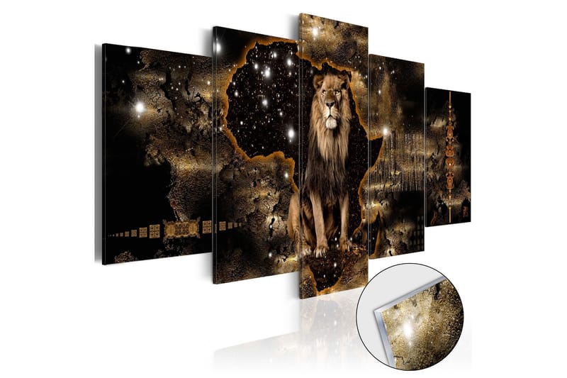 Taulu akryylillä Golden Lion 100x50, Artgeist sp. z o. o.