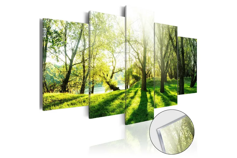 Taulu akryylillä Green Glade 100x50, Artgeist sp. z o. o.