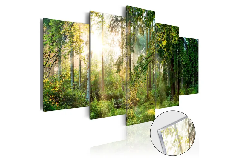 Taulu akryylillä Green Sanctuary 100x50, Artgeist sp. z o. o.