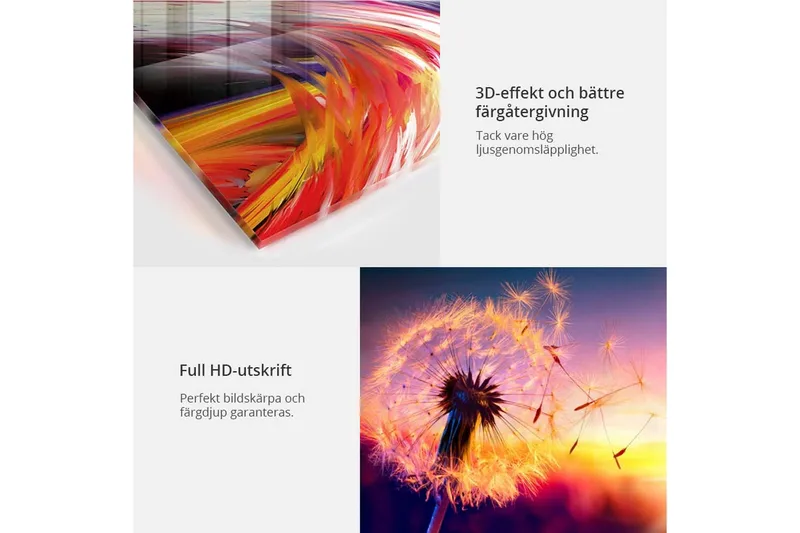 Taulu akryylillä Scarlet Field 100x50 - Artgeist sp. z o. o. - Sisustustuotteet - Taulu & taide
