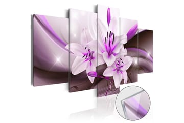 Taulu akryylillä Violet Desert Lily 100x50