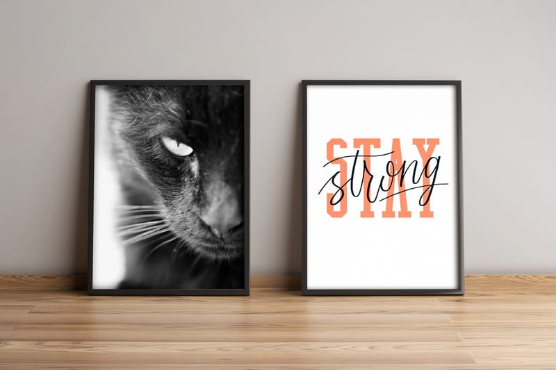 Taulu Animal kehyksellä 2-pak Monivärinen, 36x51 cm