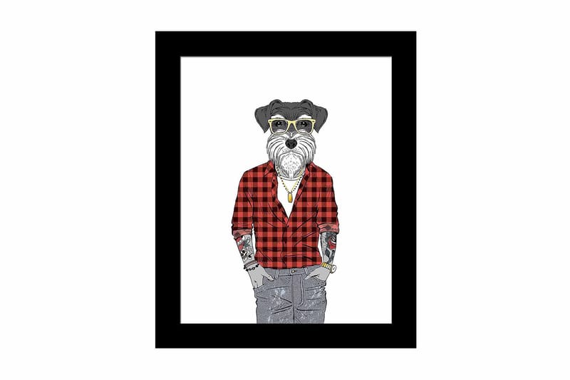 Taulu Animal kehyksellä Monivärinen - 23,5x28,5 cm - Sisustustuotteet - Taulu & taide