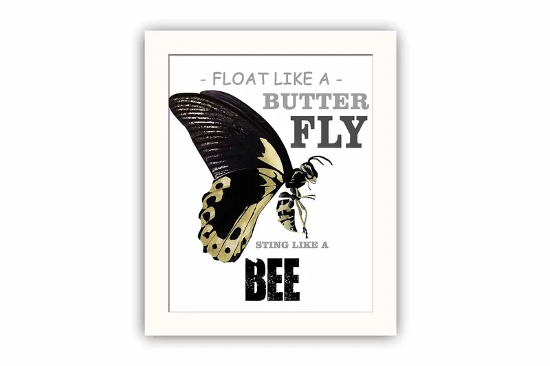 Taulu Animal kehyksellä Monivärinen, 23,5x28,5 cm