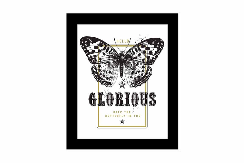 Taulu Animal kehyksellä Monivärinen, 23,5x28,5 cm