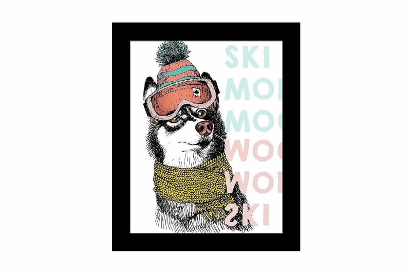 Taulu Animal kehyksellä Monivärinen - 23,5x28,5 cm - Sisustustuotteet - Taulu & taide