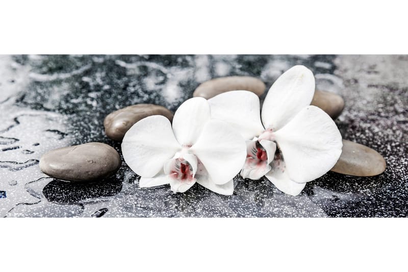 Taulu Brown Stones, 50x125 cm