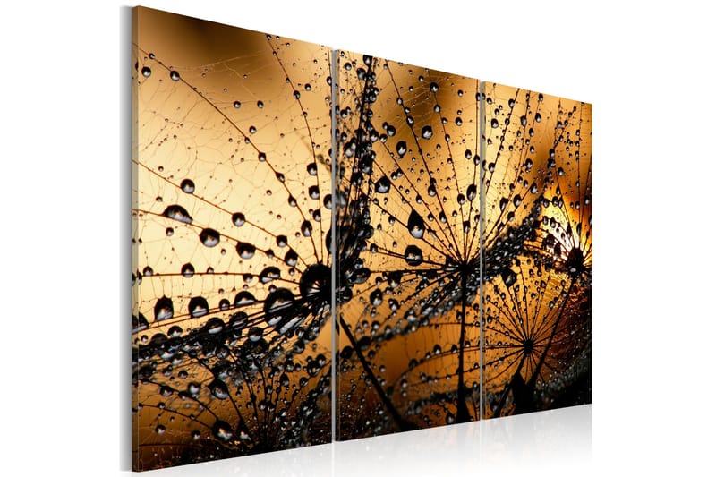 Taulu Dandelions And Dew 120x80, Artgeist sp. z o. o.