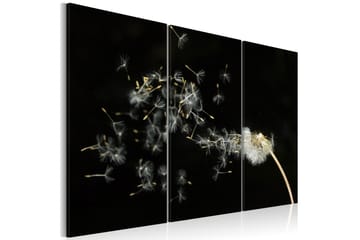 Taulu Dandelions- the transience 90x60