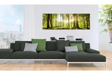 Taulu Daylight 135x45 - Artgeist sp. z o. o. - Sisustustuotteet - Taulu & taide - Canvas-taulu