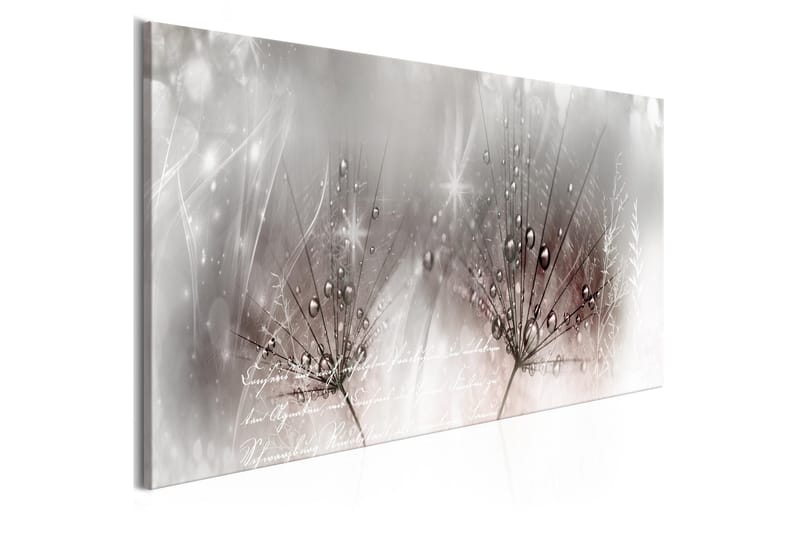 Taulu Drops Of Dew 1 Part Pink Narrow 120x40, Artgeist sp. z o. o.