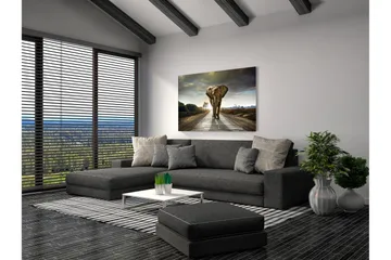 Taulu Elephant - 80x120 cm - Sisustustuotteet - Taulu & taide