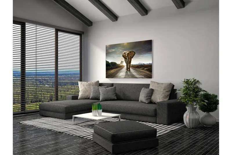 Taulu Elephant - 80x120 cm - Sisustustuotteet - Taulu & taide