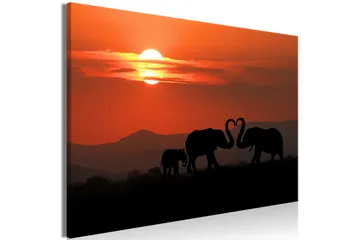 Taulu Elephants in Love (1 Part) Wide 120x80 - Artgeist sp. z o. o. - Sisustustuotteet - Taulu & taide - Canvas-taulu