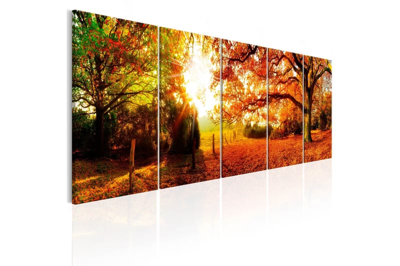 Taulu Enchanting Autumn 225x90, Artgeist sp. z o. o.