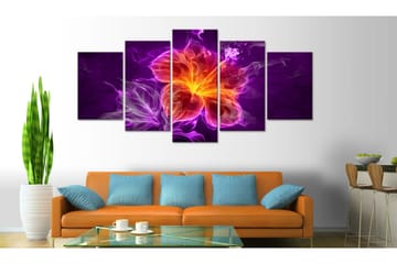 Taulu Esoteric Flower 100x50 - Artgeist sp. z o. o. - Sisustustuotteet - Taulu & taide - Canvas-taulu