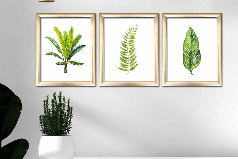 Taulu Floral kehyksellä 3-pak Monivärinen - 23,5x28,5 cm - Sisustustuotteet - Taulu & taide