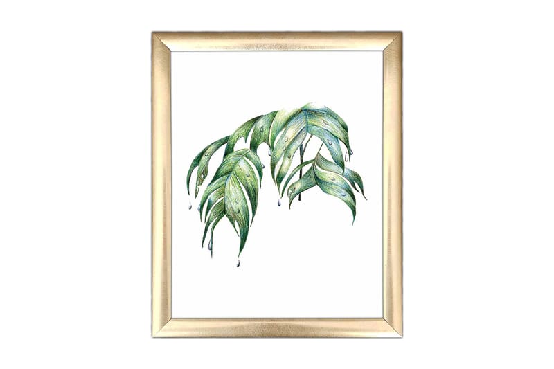 Taulu Floral kehyksellä Monivärinen - 23,5x28,5 cm - Sisustustuotteet - Taulu & taide