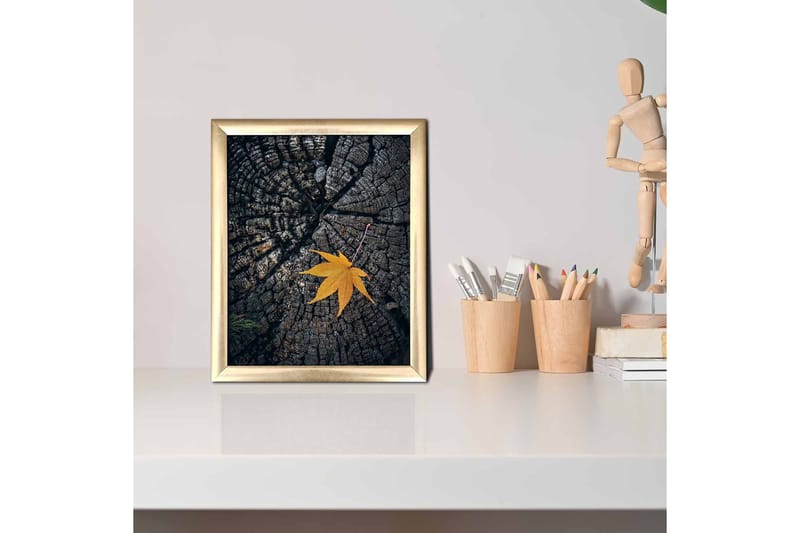 Taulu Floral kehyksellä Monivärinen - 23,5x28,5 cm - Sisustustuotteet - Taulu & taide