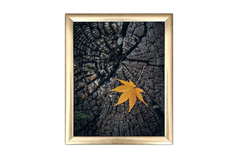 Taulu Floral kehyksellä Monivärinen, 23,5x28,5 cm