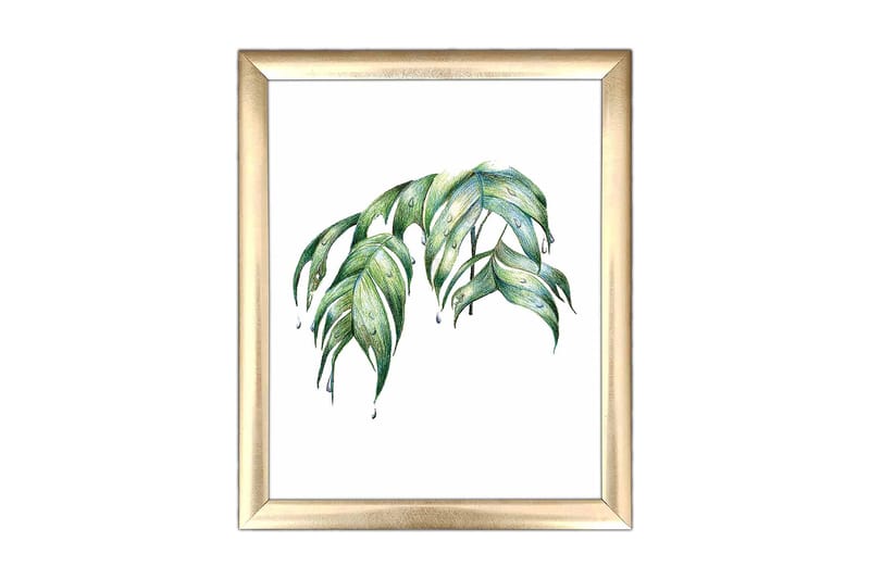 Taulu Floral kehyksellä Monivärinen, 23,5x28,5 cm