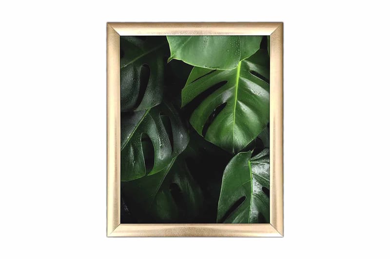 Taulu Floral kehyksellä Monivärinen, 23,5x28,5 cm