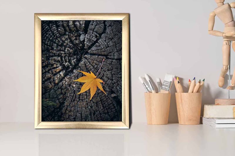 Taulu Floral kehyksellä Monivärinen - 23,5x28,5 cm - Sisustustuotteet - Taulu & taide