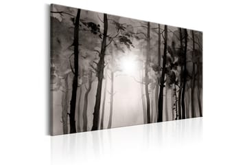 Taulu Foggy Forest 90x60 - Artgeist sp. z o. o. - Sisustustuotteet - Taulu & taide - Canvas-taulu