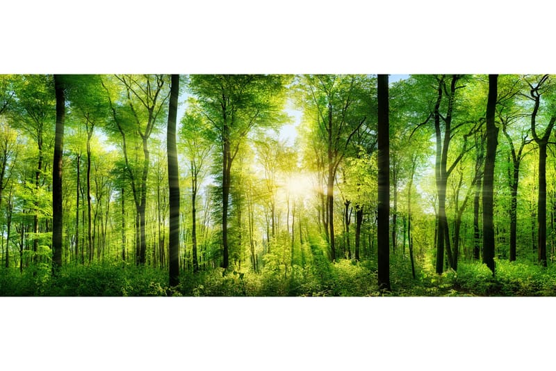 Taulu Forest, 50x125 cm
