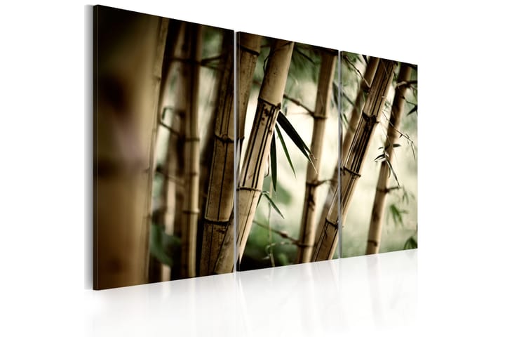 Taulu In a tropical forest 90x60 - Artgeist sp. z o. o. - Canvas-taulu - Seinäkoristeet