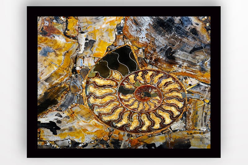 Taulu kehyksellä Monivärinen - 41x56 cm - Sisustustuotteet - Taulu & taide