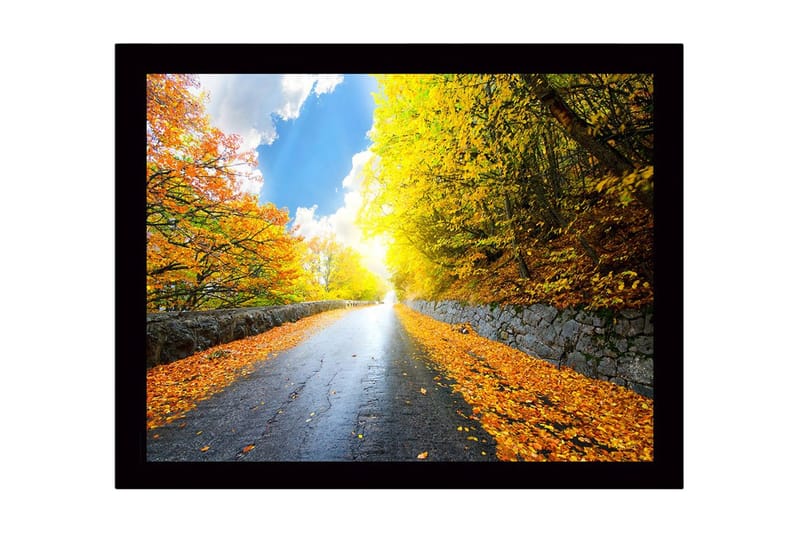 Taulu kehyksellä Monivärinen, 41x56 cm