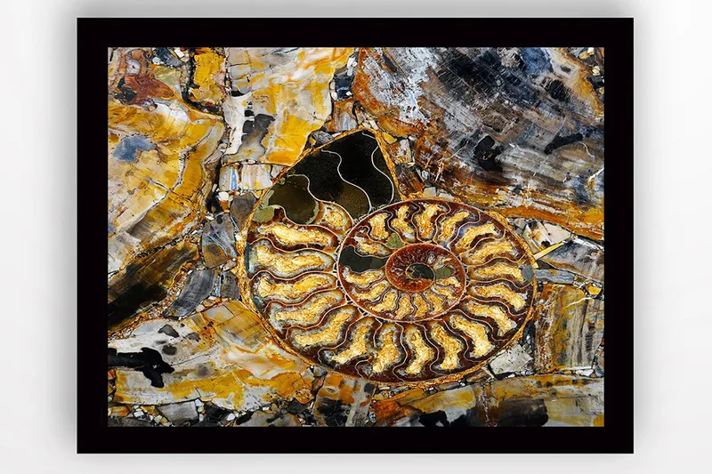 Taulu kehyksellä Monivärinen - 41x56 cm - Sisustustuotteet - Taulu & taide