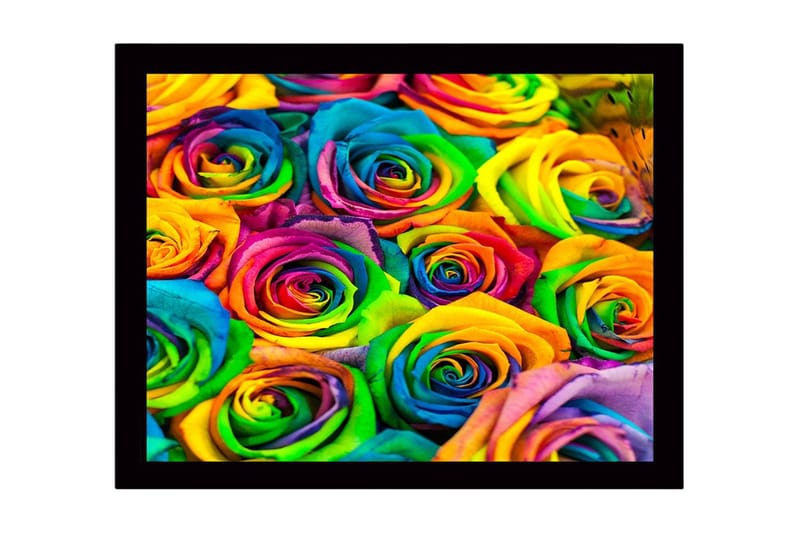 Taulu kehyksellä Monivärinen, 41x56 cm