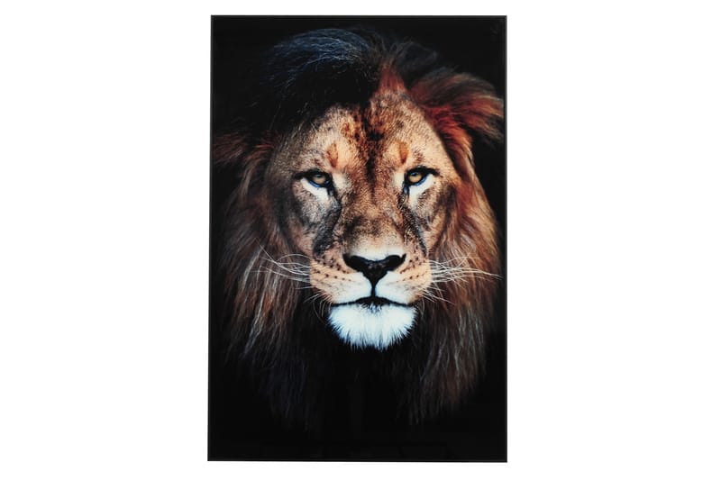 Taulu Lejon - 80x120 cm Monivärinen - Sisustustuotteet - Taulu & taide