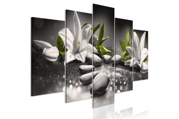 Taulu Lilies And Kivis 5 Parts Wide Grey 200x100