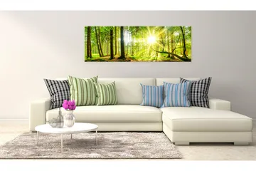 Taulu Majestic Trees 150x50 - Artgeist sp. z o. o. - Sisustustuotteet - Taulu & taide - Canvas-taulu