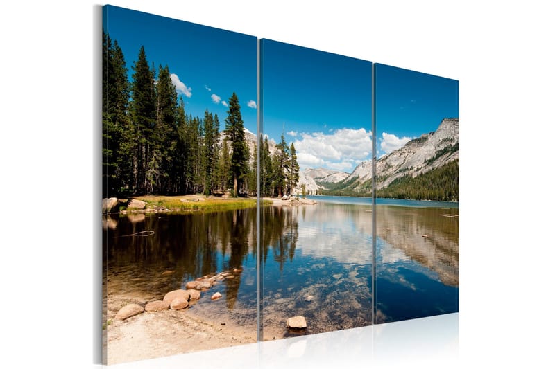 Taulu Mountains Trees And Pure Lake 60x40, Artgeist sp. z o. o.