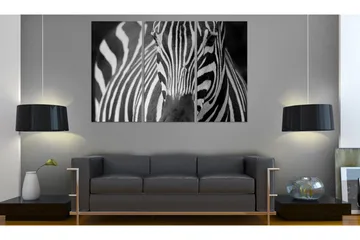 Taulu Mrs Zebra 120x80 - Artgeist sp. z o. o. - Sisustustuotteet - Taulu & taide - Canvas-taulu
